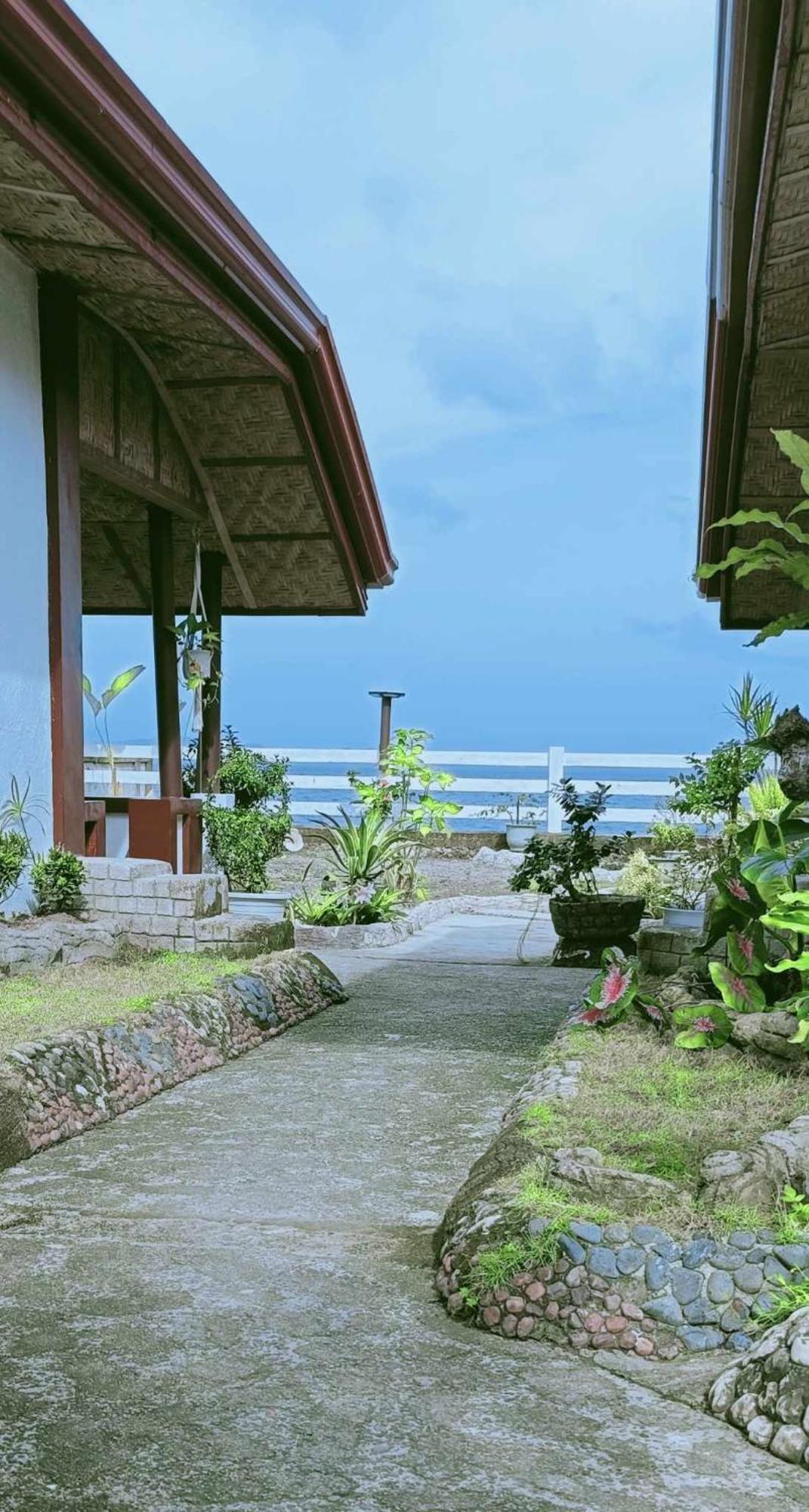 Leyte Dive Bed & Breakfast Malitbog Exterior photo